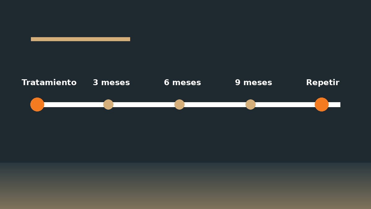 Línea de tiempo mostrando la duración aproximada de un cristalizado